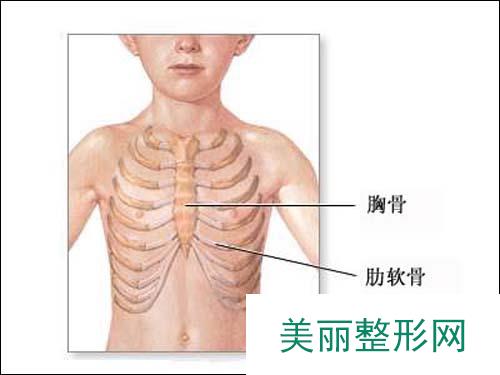 郑州，调节，胸骨裂，多少钱