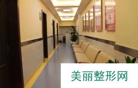 上海植发去哪个医院