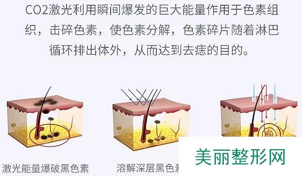 医生信息