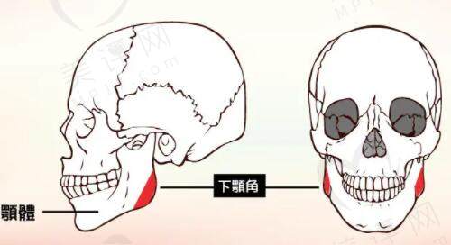 上海9院整形科医生名单介绍