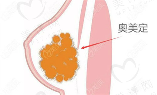 广州清奥哪家更权 威