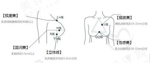 唐志荣医生擅长项目