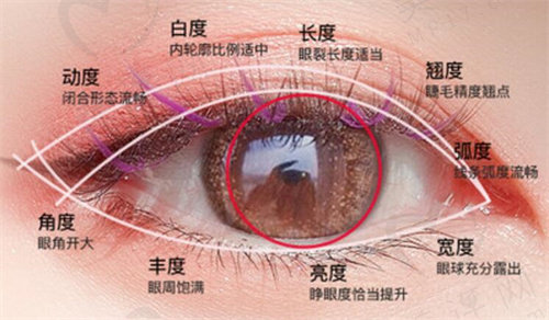 郑小红医生双眼皮+修复综合手术优势