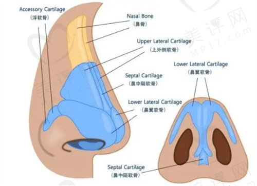 上海颜净医疗美容鼻整形价格表