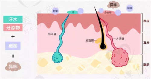 清新微波去腋臭的原理