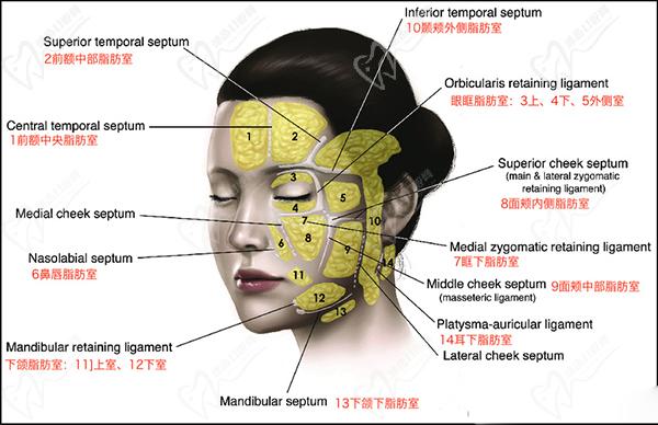 北京艺星整形医院微整注射价格表