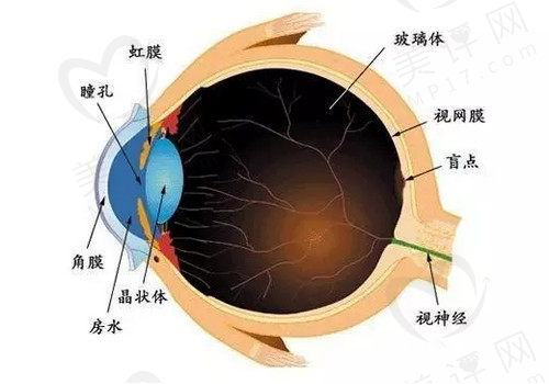 视神经萎缩是什么原因引起的