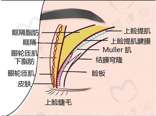 成都林靖修复后的眼睛自然吗