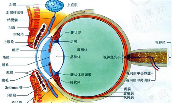 眼睛近视加散光能做手术吗？